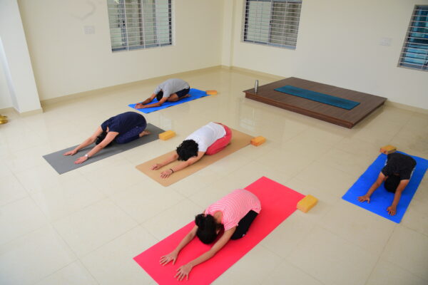 🧘‍♀️ Morning Yoga Sessions (Online & Offline)