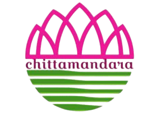 Chittamandara Wellness Studio